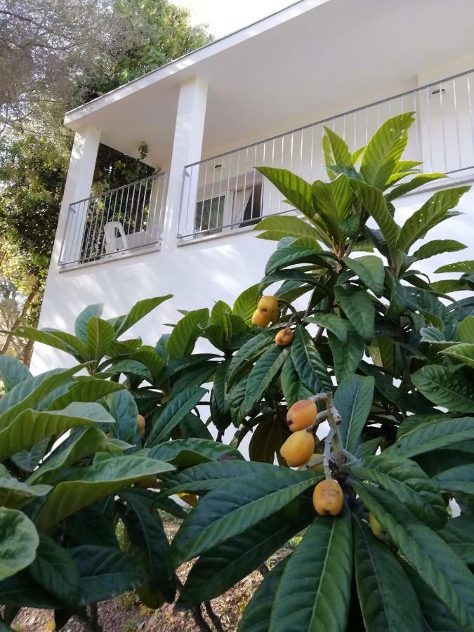 In Campagna Da Nino Hotell Olbia Exteriör bild